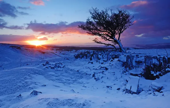 Winter, snow, mountains, sunrise, tree, dawn, England, England