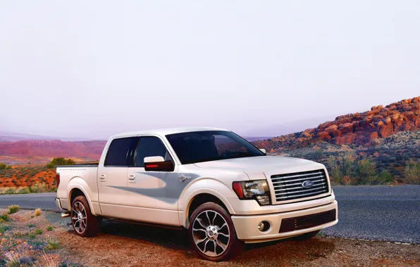 Picture road, landscape, Ford, Pickup, F150