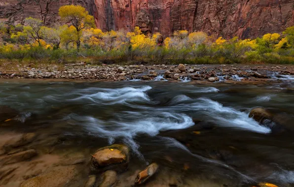 Autumn, trees, nature, river, rocks, stream, USA