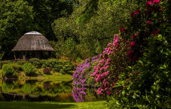 Pond, Park, Germany, gazebo, Germany, Lower Saxony, Lower Saxony, rhododendrons