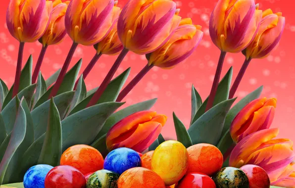 Easter, tulips, eggs, bright holiday