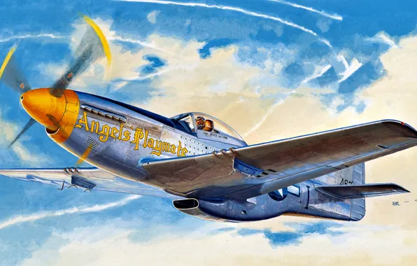 Picture Mustang, fighter, USA, USAF, North American, P-51D, long-range, 354th Fighter Group