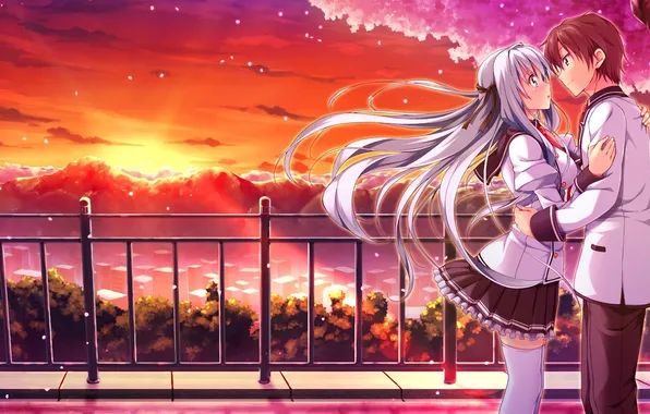 Girl, sunset, the city, the evening, Sakura, pair, railings, form