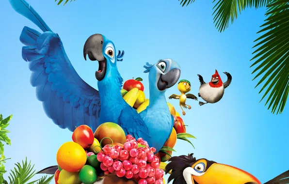 Birds, cartoon, parrot, fruit, Toucan, Rio, darling, jewel