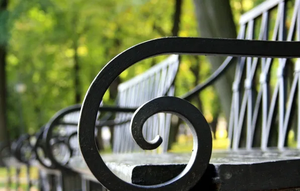 Macro, trees, bench, Park