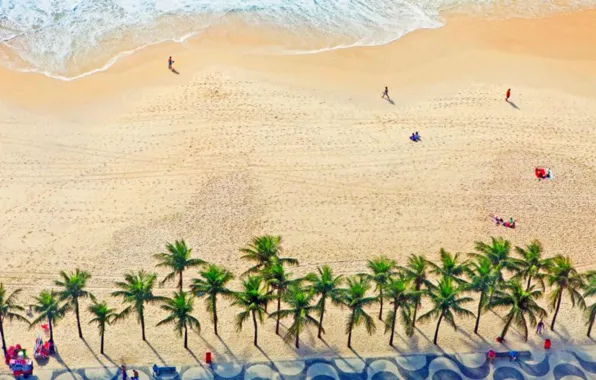 Picture palm trees, shore, Brazil, Rio de Janeiro, Copacabana beach