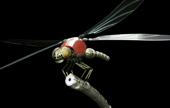 Picture robot, dragonfly, dragonfly