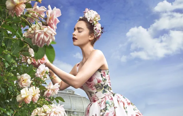 The sky, girl, flowers, roses, dress, Emilia Clarke, Harpers Bazaar