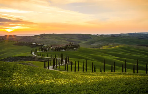 Road, greens, summer, the sky, the sun, clouds, rays, light