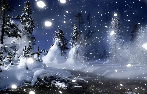 Winter, snow, night, Forest, Christmas trees