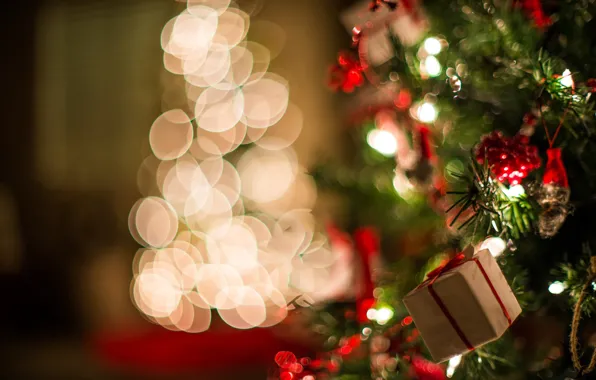 Light, gift, tree, new year, Christmas, bokeh