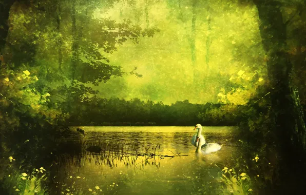 Picture greens, forest, summer, trees, landscape, nature, lake, pond