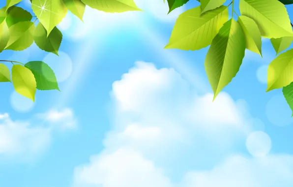 Picture the sky, leaves, rendering