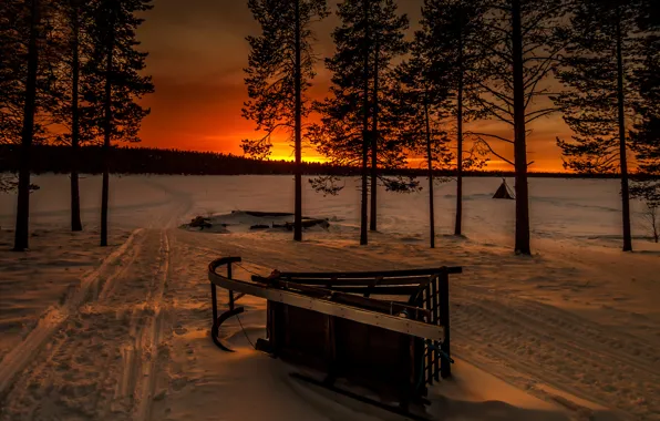 Winter, forest, snow, sunset, sleigh, sledding