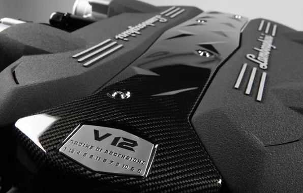 Picture style, beauty, Lamborghini, power, engine, v12