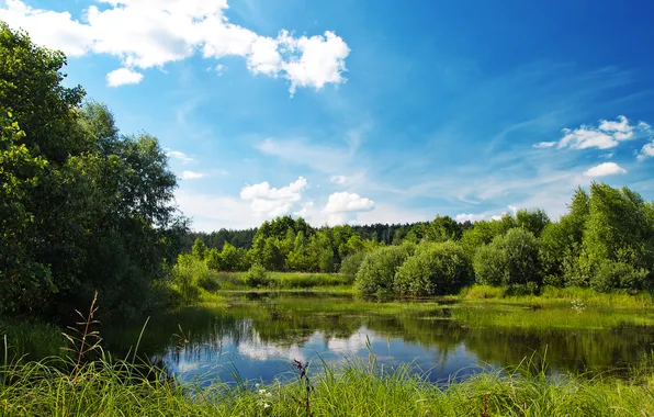 Grass, lake, Summer, July