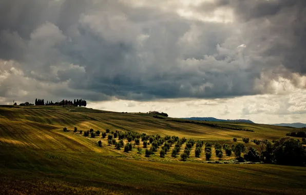 Field, the sky, clouds, valley, gardens