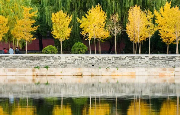 Autumn, leaves, trees, reflection, China, Beijing, Forbidden city