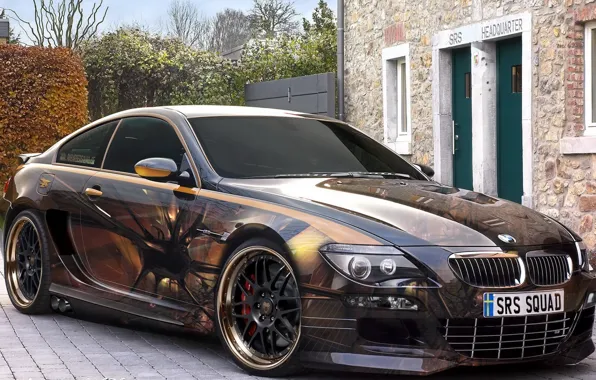 Picture figure, bmw, airbrushing