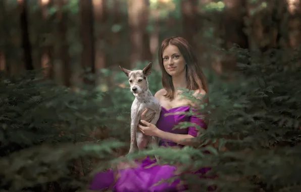 Picture forest, girl, dog