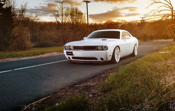 White, dodge challenger, muscle car, Challenger