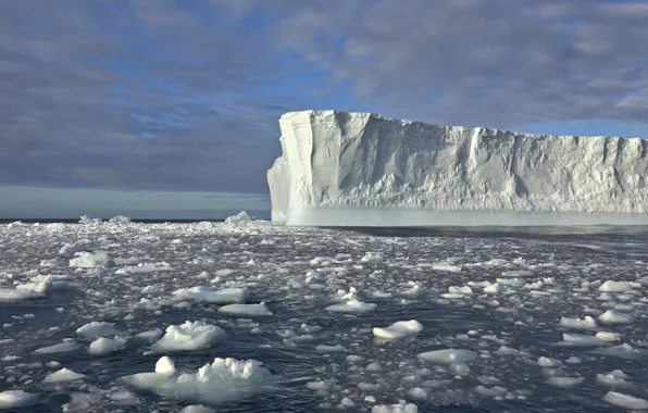 Picture ice, sea, water, iceberg