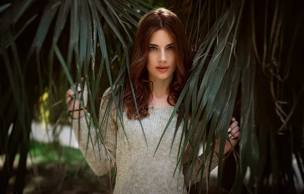 Look, branches, nature, pose, model, portrait, makeup, hairstyle