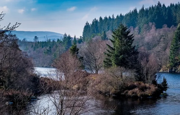 The sky, trees, landscape, nature, river, beauty