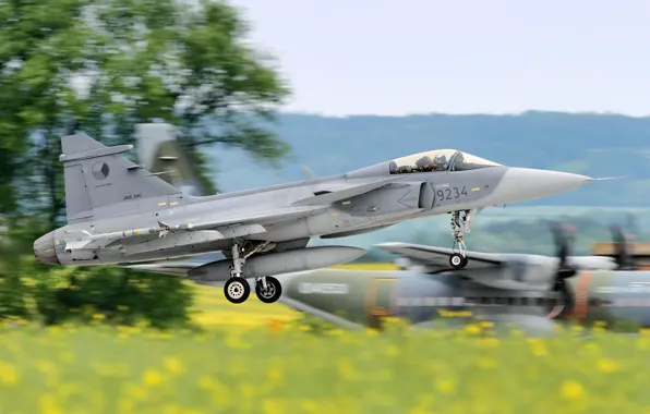 You can, Gripen, Landing, JAS 39, Chassis, Czech air force, You CAN, Can JAS 39C …