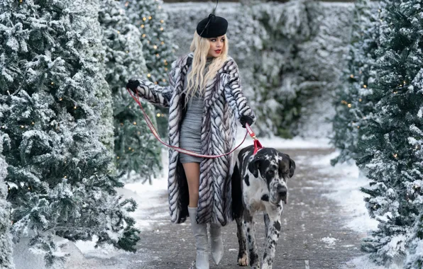 Winter, snow, dog, actress, blonde, coat, walk, boots