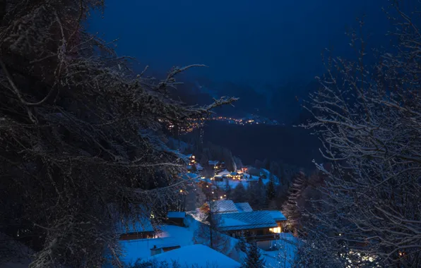 Winter, snow, mountains, lights, lake, branch, dark, home