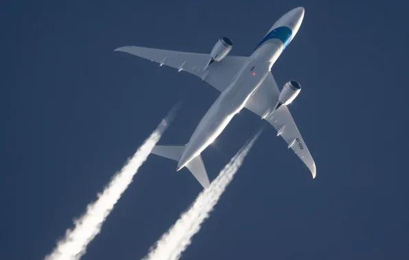 Picture The plane, Boeing, Dreamliner, Airliner, In flight, Israel Airlines, Contrail, Boeing 787-8 Dreamliner