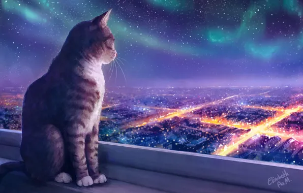 Lights, Night, Figure, The city, Stars, Cat, Cat, Art