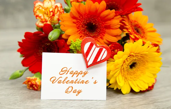Picture love, gerbera, flower, heart, romantic, orange, valentine`s day