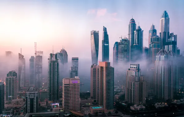 The city, fog, building