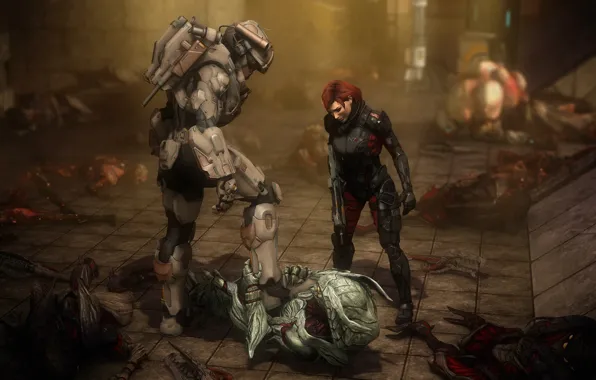 Armor, mass effect, shepard, halo, crossover, master chief, collector