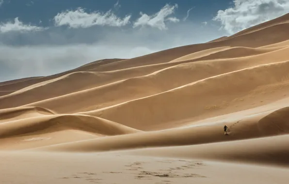 Sand, desert, people