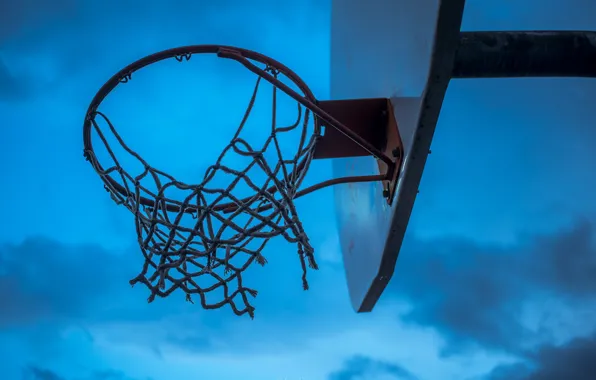 Ring, Basketball, shield