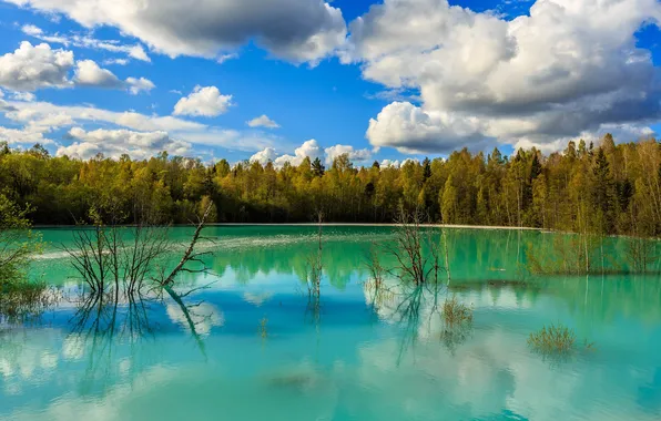 Picture forest, the sky, clouds, river, spring, spill, flood