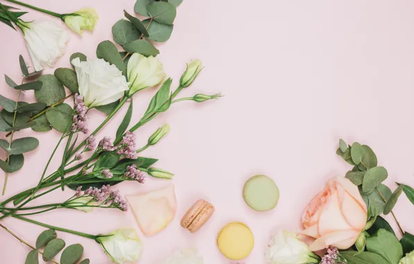 Background, pink, bouquet, composition, eustoma, macaron, limonium