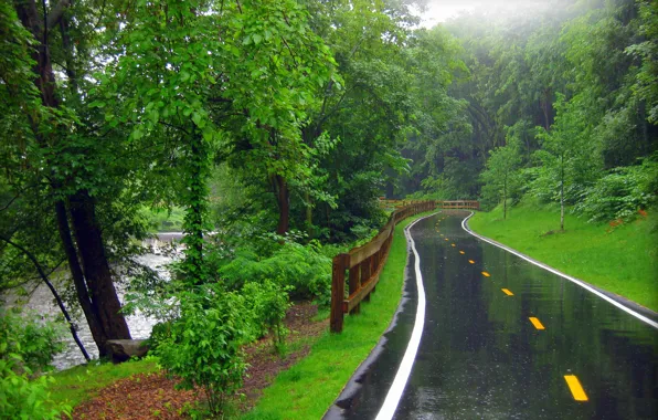 Picture road, forest, river, rain