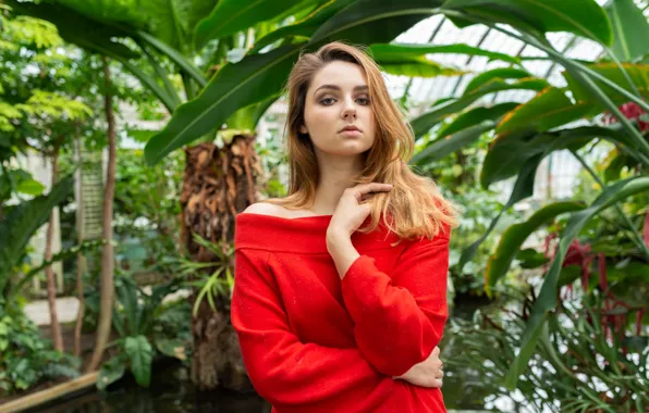 Picture look, leaves, model, portrait, plants, makeup, hairstyle, is