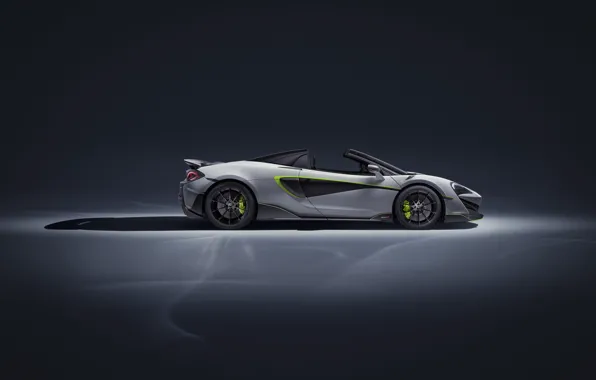 McLaren, supercar, side view, Spider, MSO, 2019, 600LT