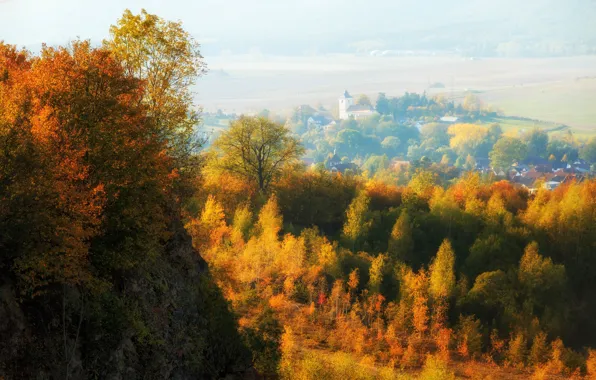 Autumn, forest, Church, houses