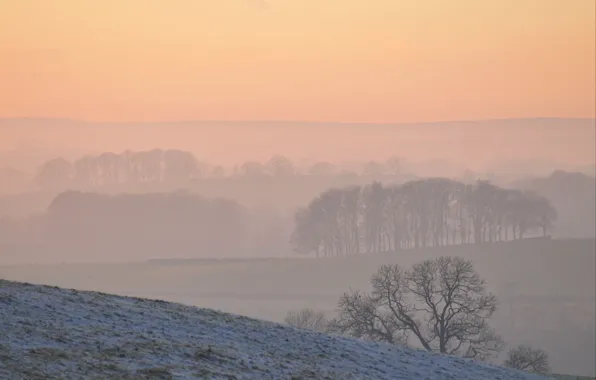 Picture cold, winter, snow, fog, seasons, hills, morning, frost