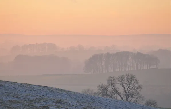 Cold, winter, snow, fog, seasons, hills, morning, frost