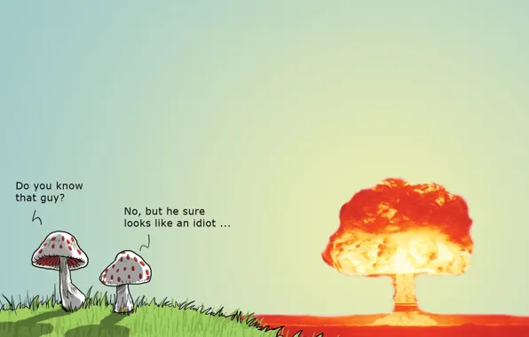 Picture mushroom, bomb, humor, Wulffmorgenthaler, atomic explosion