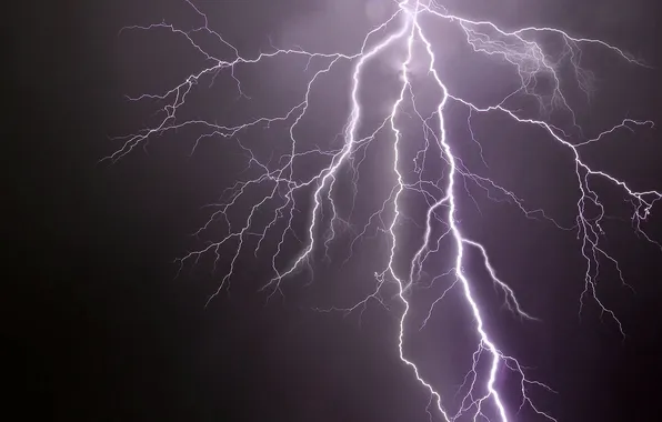 The storm, lightning, lightning discharge