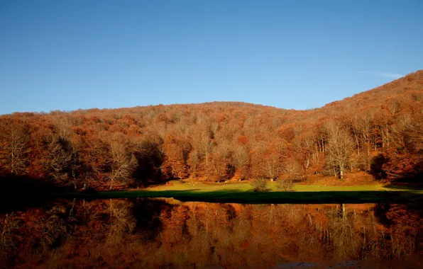 Picture autumn, forest, lake, colors, forest, Autumn, lake, fall