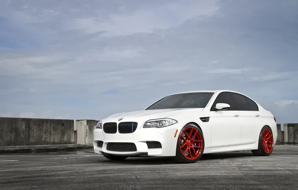 Picture tuning, bmw, BMW, white, drives, F10